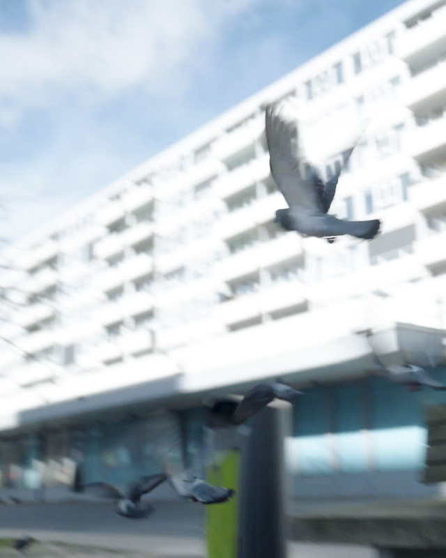 Goodville x Cases Website 2025.00_10_26_06.Still073